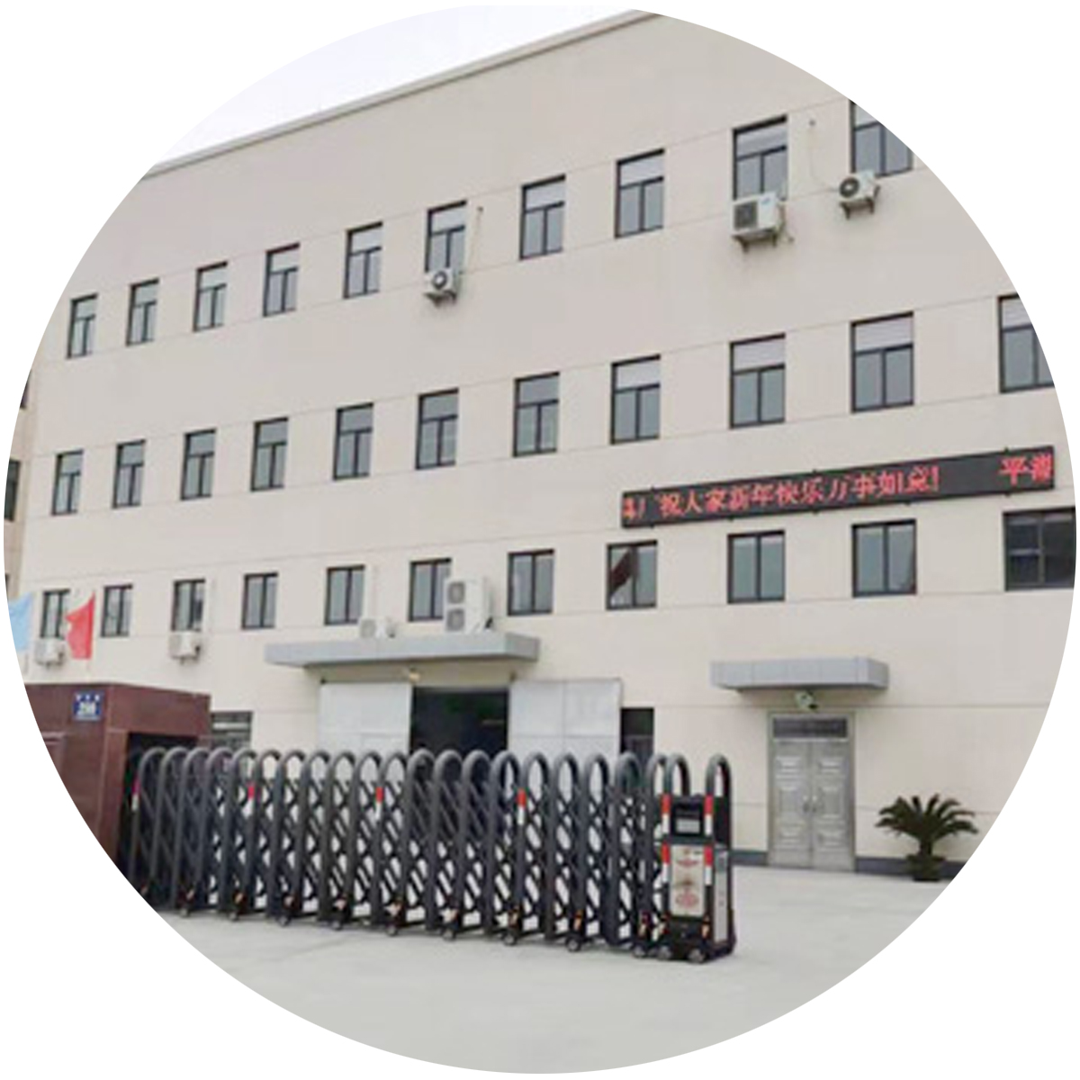 About Our Company